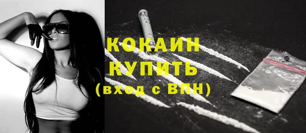 стаф Няндома