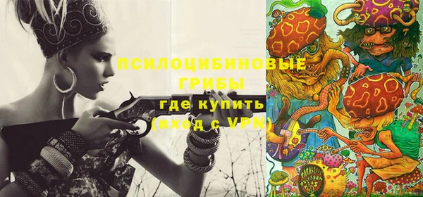 стаф Няндома