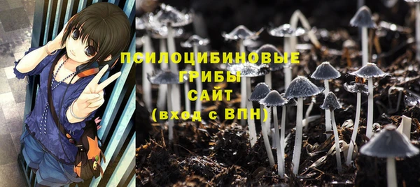 соль курить ск Нязепетровск