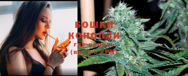 стаф Няндома