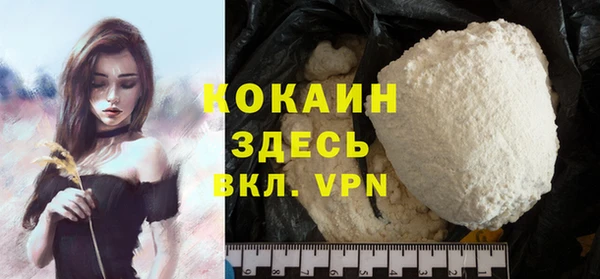 стаф Няндома