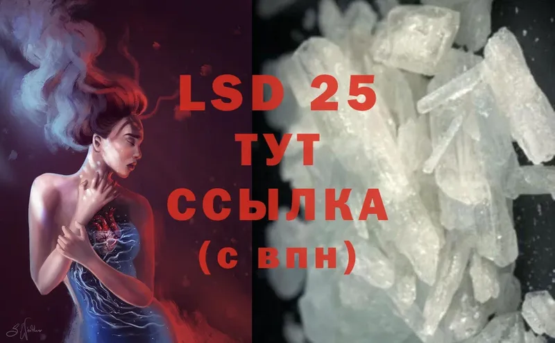 LSD-25 экстази кислота  наркошоп  KRAKEN как войти  Нефтекумск 